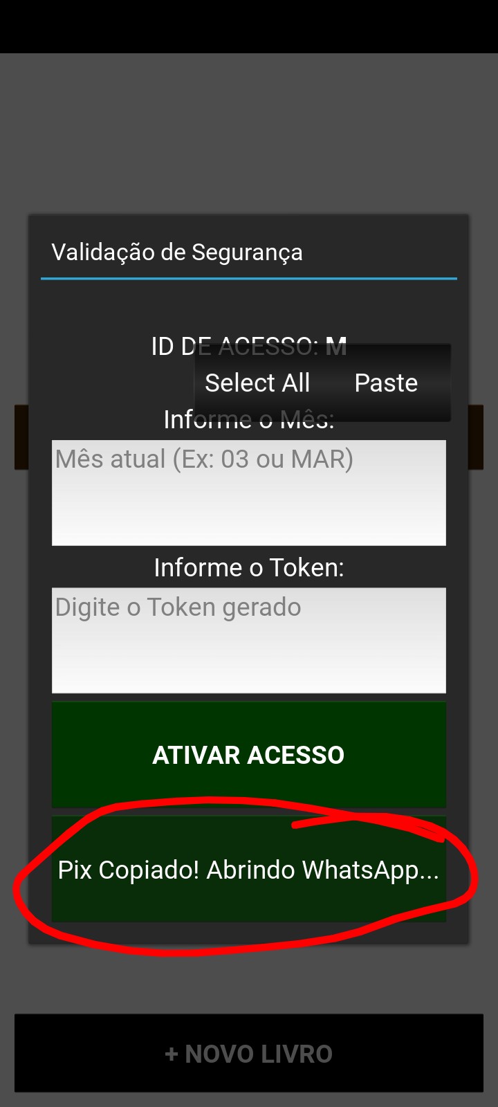 Passo 3 - Pix Copiado