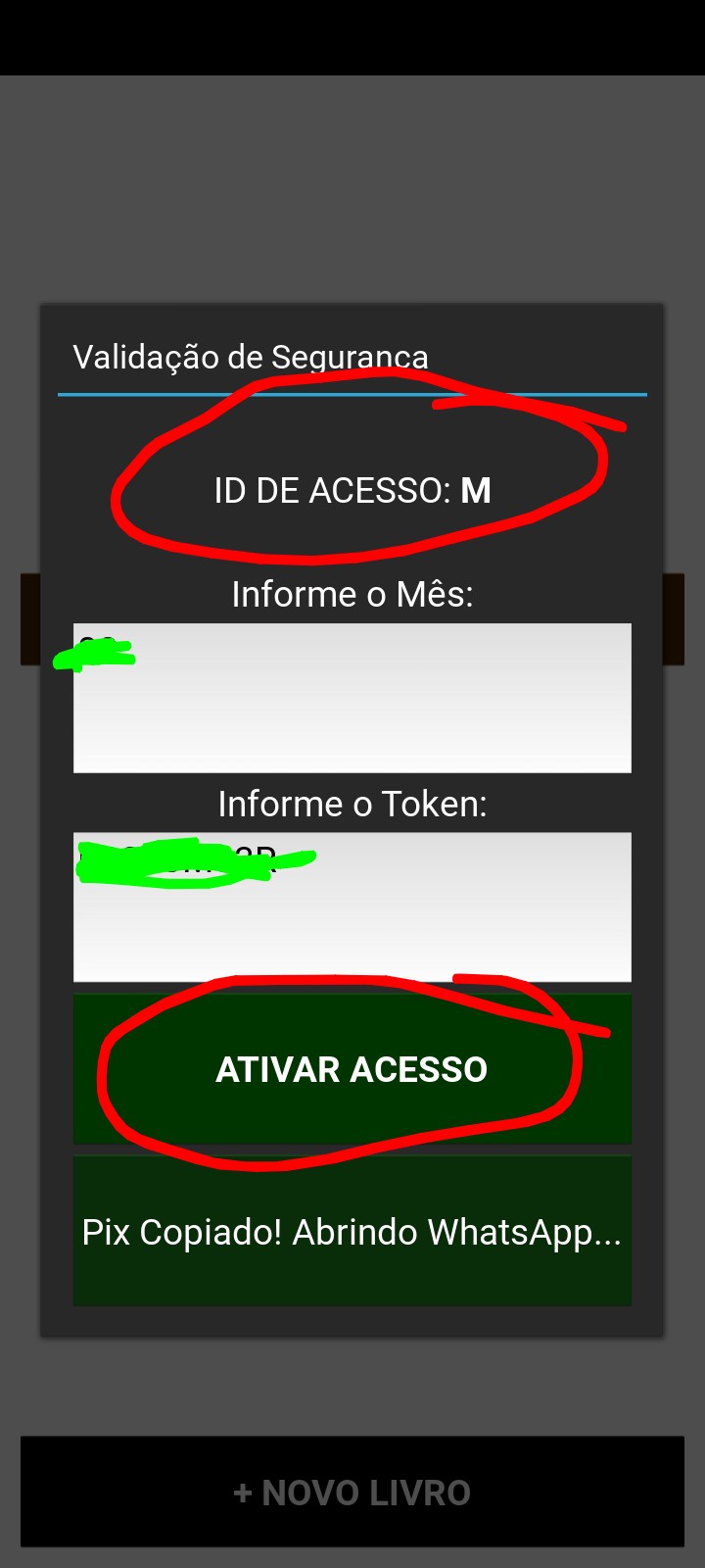 Passo 4 - Ativar Acesso